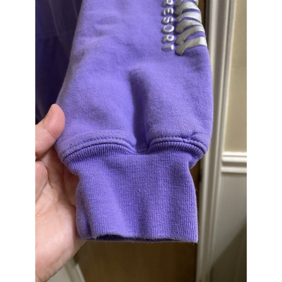 Disneyland 100 Years Of Wonder Purple Embroidered Hoodie Size S Mickey Mouse - Picture 8 of 16